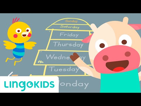 Learn about Days of the Week 📅 Song for Kids | Lingokids