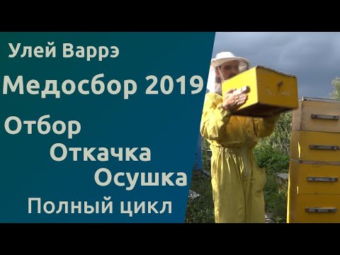 Народный улей Варрэ. Медосбор 2019. 4 случая отбора корпусов с удалителями. Откачка. Полный цикл