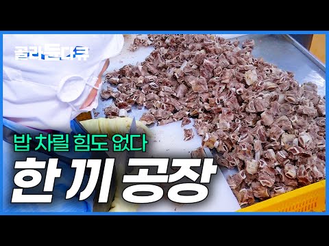 혼자 입맛도 없고 밥은 먹어야 하고. 자취생을 위한 한 끼를 만드는 공장에 가봤더니｜간편식 만드는 과정｜극한직업｜#골라듄다큐