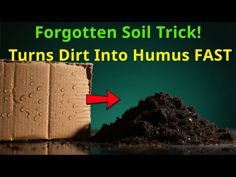 This Cardboard Soil Hack Creates Humus 10X Faster Than Compost | Gardeners Are Shocked!