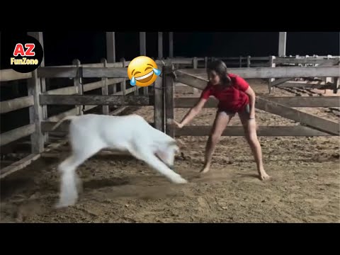 Funniest Fails & Viral Memes Of The Year 😂🤣 Try Not To Laugh Challenge #8