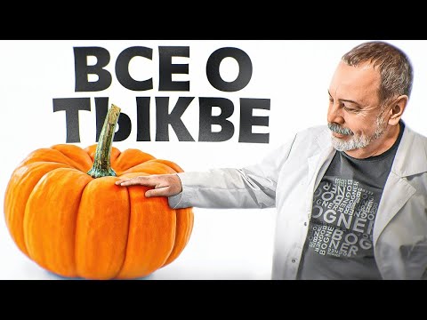 ALL ABOUT PUMPKIN / pumpkin / beneficial properties of pumpkin / For what diseases is pumpkin use...