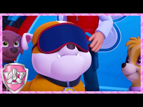 Rubble's Sleepy Camping Trip! (Compilation) | Skye - Paw Patrol & Friends | Cartoons For Kids
