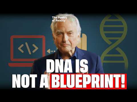 Why life’s complexity needs no designer