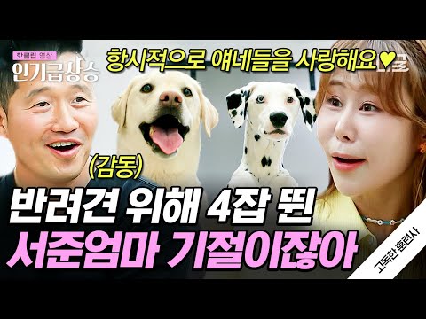 [#인기급상승] 서준이 시점이 사실 반려견 시점? 사랑하는 두 강아지를 위해 그 누구보다 열심히 살아온 서준맘 본캐 박세미💛 | #고독한훈련사 #서준맘 #박세미
