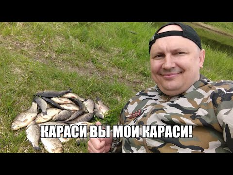 Карась пошёл! Ловля карася на перловку!