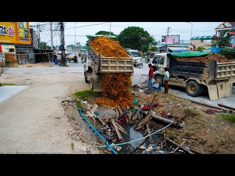 First Start a New Project! Landfill Delete Flooded Canal Using Dozer D20P with 5Ton Truck Unloading