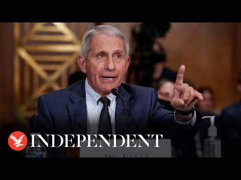 Watch again: Fauci grilled by House Republicans over Covid-19 response