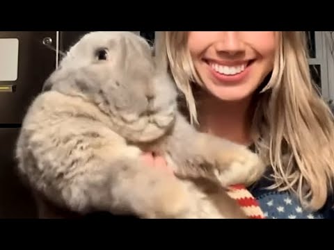 Woman brings home meat bunny. He starts to act like a dog.