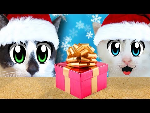 СМЕШНОЙ КОТ МАЛЫШ И КОШКА МУРКА ОТКРЫВАЮТ ПОДАРКИ! РАСПАКОВКА! БАФИ И ПУПСЯ ПРИГЛАСИЛИ МНОГО ГОСТЕЙ