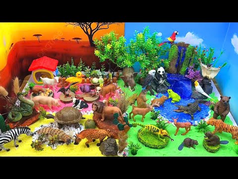 Explore Jungle, Forest & Farm Animals 🌳🐅| Diorama for Kids