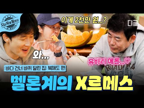 [#바다건너바퀴달린집북해도편] 멜론계의 X르메스라는 '유바리 멜론'?!🍈 과즙 팡팡 터지는 맛에 리액션 폭발한 바달즈🤤 | #지금꼭볼동영상