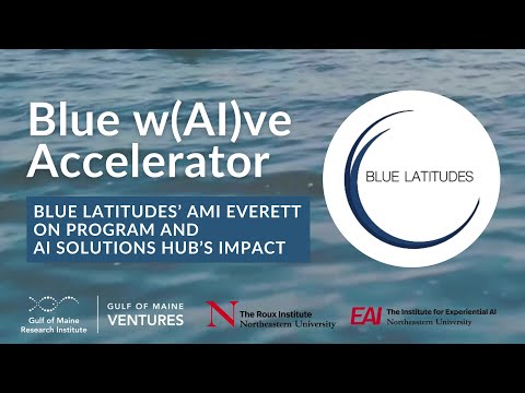 Blue w(AI)ve Accelerator: Blue Latitudes' Ami Everett on Program and AI Solutions Hub's Impact