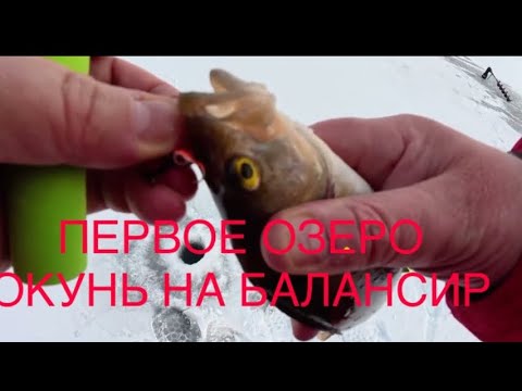 Недорогой китайский балансир против окуня. Мой первый опыт на Первом озере.