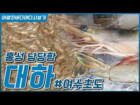 서해 가을진미 홍성 남당항 대하(왕새우)  #여수초도