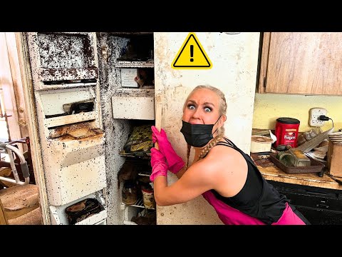 Filthiest Kitchens USA Edition Part 1