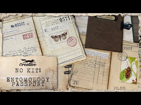 Get Imaginative: Creating An Entomology Passport WITHOUT A Digital Kit!