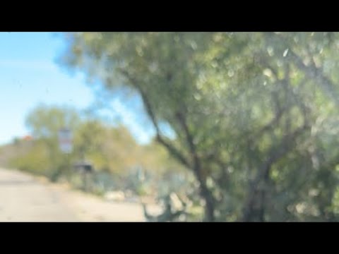 Live on scene Search Group Looking For Nancy Guthrie Day 22 Tucson Arizona