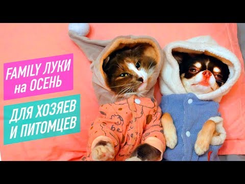 ОДЕЛАСЬ ОДИНАКОВО С ПИТОМЦАМИ! ПИЖАМА ДЛЯ КОШКИ и ПОКУПКИ ИЗ ЗООМАГАЗИНА ДЛЯ СОБАК