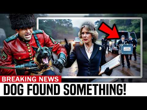 Royal Guard STOPPED Camilla’s Convoy — After Security Dogs Detected Unregistered Cargo