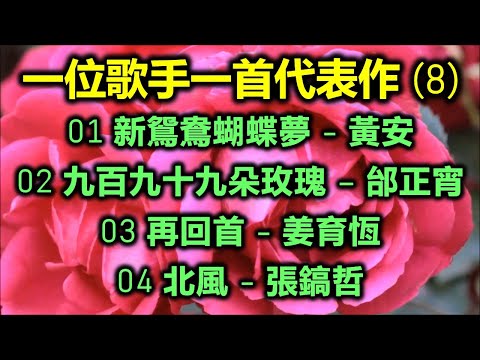 一位歌手一首代表作 (8) （内附歌詞）01 新鴛鴦蝴蝶夢 - 黃安；02 九百九十九朵玫瑰 – 邰正宵；03 再回首 - 姜育恆；04 北風 - 張鎬哲