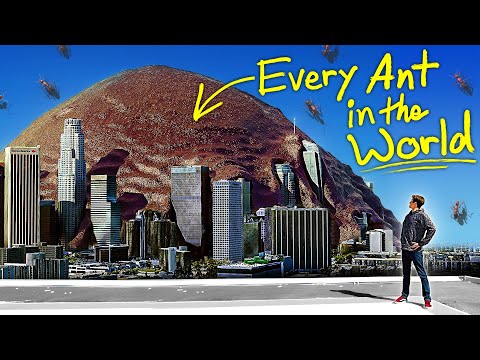 VFX Artist Reveals the TRUE Scale of ANTS!!!