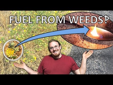 Extracting Jet Fuel From GumWeed