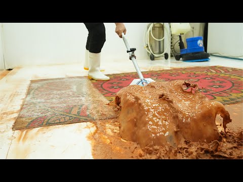 This Rug Sat in a Basement for 12 Years – The Cleaning Is Unbelievable - Carpet Cleaning ASMR