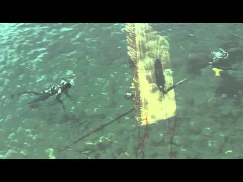 Spearfishing on the Black Sea. Educational film.