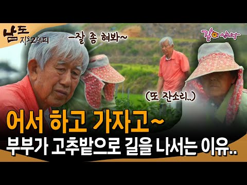 [남도지오그래피] 다리가 불편한 할아버지가 허리가 아픈 할머니와 고추밭으로 길을 나서는 이유..| KBS 2017.06.27