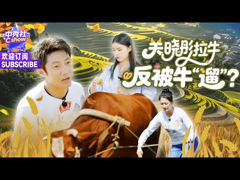 #撒贝宁 #关晓彤 “声控式”犁地太搞笑了~ #林允 初学萨克斯，结果一吹把自己吓到了！#山水间的家2