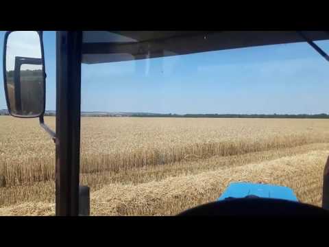 Аммиачная селитра или КАС-32, что выбрать для подкормки озимой пшеницы? Часть 2.