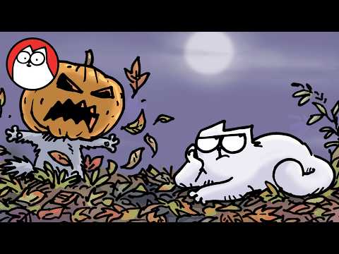 Is This Cat Possessed? - Spooky Films for Cats & Their Owners 🎃
