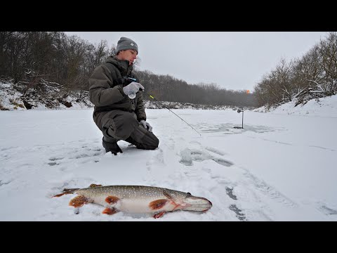 I WENT INTO THE WILDERNESS AND CAME TO A PIKE'S FOOD! AGAIN, THE BIG FISH IS CRUSHING AND THE LIN...