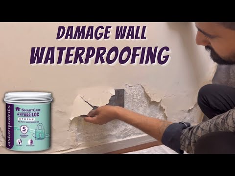 Wall Waterproofing treatment | How To Repair Damp Wall | Texture Damp  Proofing