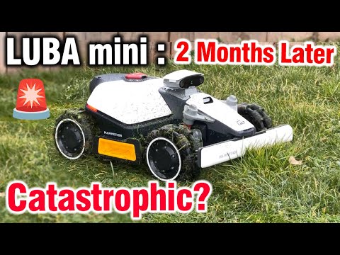 ⚠️LUBA Mini Review: Drawbacks + Advantages After 2 Months!