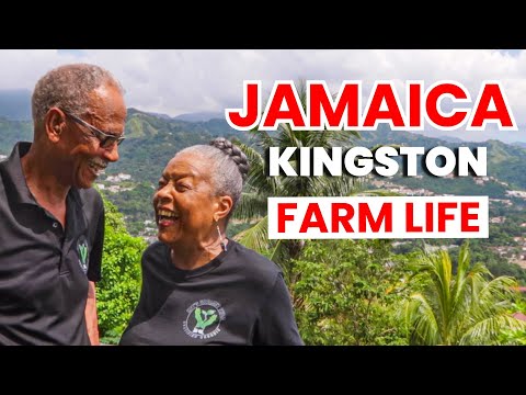 Organic Farming in JAMAICA and the Secrets of a Happy Life.