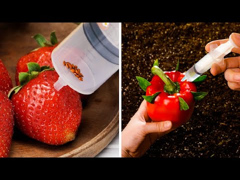 Garden Hacks You Didn’t Know You Needed