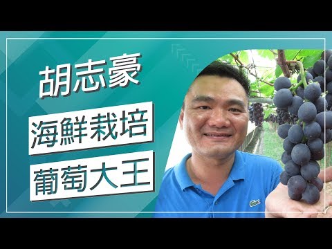 草地狀元-海鮮栽培葡萄大王（20190527播出）careermaster