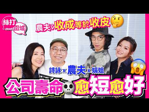 【絲打圍爐】公司壽命愈短愈好 農夫：收成等於收皮