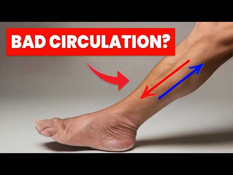 The ONLY 3 Exercises you NEED to Improve Leg Circulation in 2026