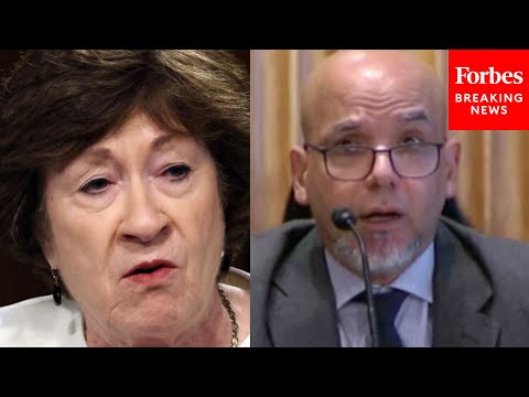 'Do You Think Senator Collins Is A Clown?': GOP Senator Confronts Biden Nominee Over Old Tweets