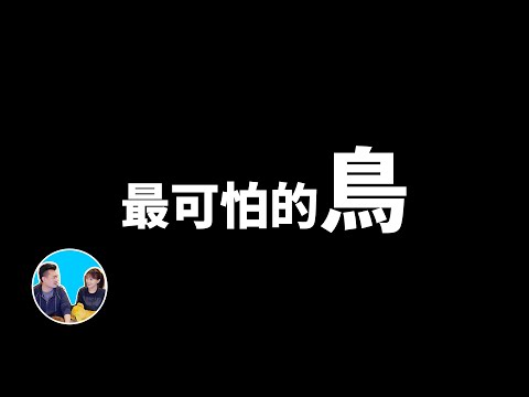 空中最可怕的生物,第一名居然捕食猴子 | 老高與小茉 Mr & Mrs Gao