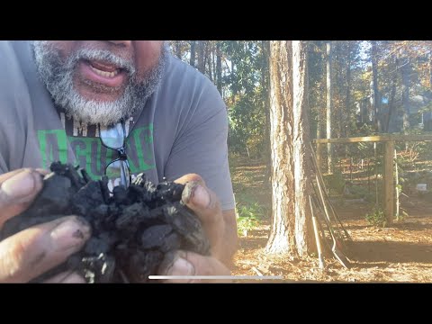 Biochar Inoculation