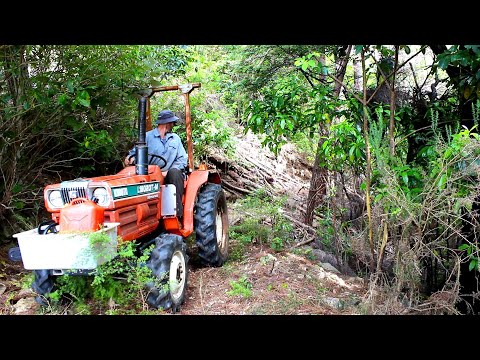 Making the salvaged Kubota mini tractor safer, then clearing an old atv trail.