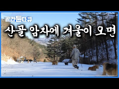 겨울이면 먹을 것도 떨어진다｜강아지 4마리와 함께 폭설로 고립된 암자에서 스님이 살아가는 법｜한국기행｜#골라듄다큐