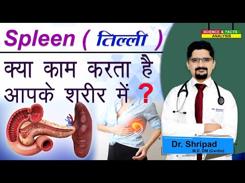 Spleen क्या काम करता है आपके शरीर में ? || What does spleen do in your body?