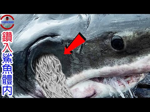 [生物放大鏡] 屠殺千隻鯊魚的"神秘怪客" | 鑽入心臟 痛不欲生!? | 吞食腦袋不給活路