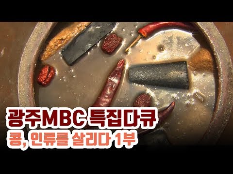 장수의 비결, 세계가 슈퍼푸드 콩에 주목한다 [다큐 콩, 인류를 살리다 1부]