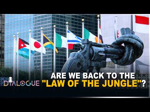 Might makes right: Are we back to the 'law of the jungle'?